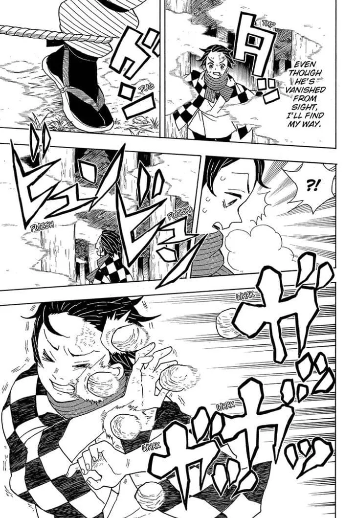 Chapter 3, page 17